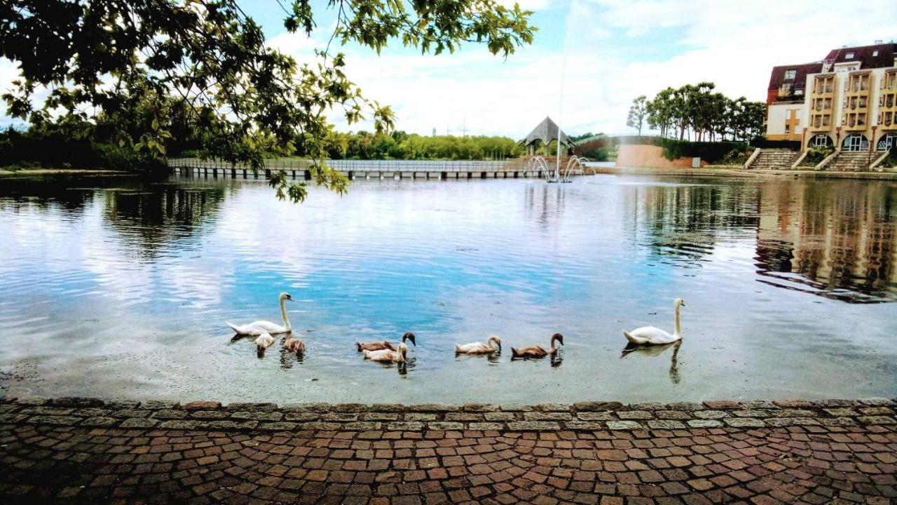 Vue Exceptionnelle Sur Le Lac Creteil Exterior photo